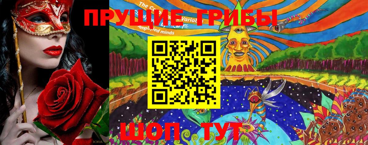 Глазов  Псилоцибиновые грибы Magic Shrooms  Вход с VPN 